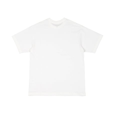 Authentic 8.0oz T-Shirt / White <L-2246>