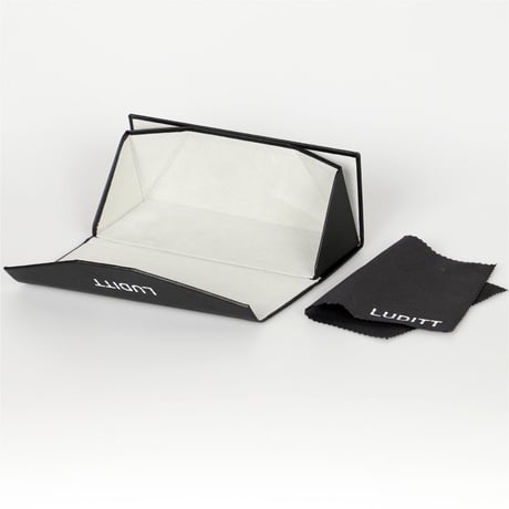 Fashion Glasses / Black<L-2390>