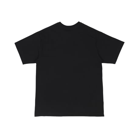 AUTHENTIC 8.0oz T-SHIRT / BLACK<L-2246>
