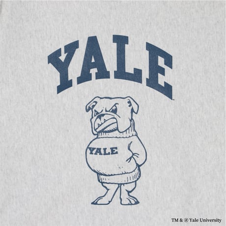 YALE CREWNECK SWEAT / ASH<L-23-116>