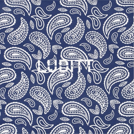 PAISLEY HOODIE / GRAY-NAVY <L-2373>