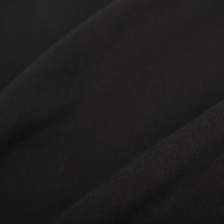 AUTHENTIC 8.0oz T-SHIRT / BLACK<L-2246>