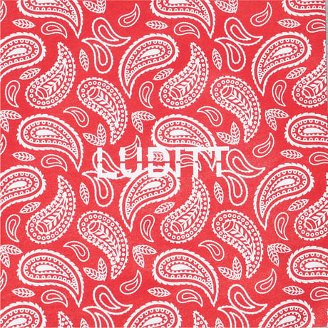 PAISLEY HOODIE / GRAY-RED <L-2373>
