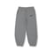 NYLON PANTS / GRAY<L-24-149>
