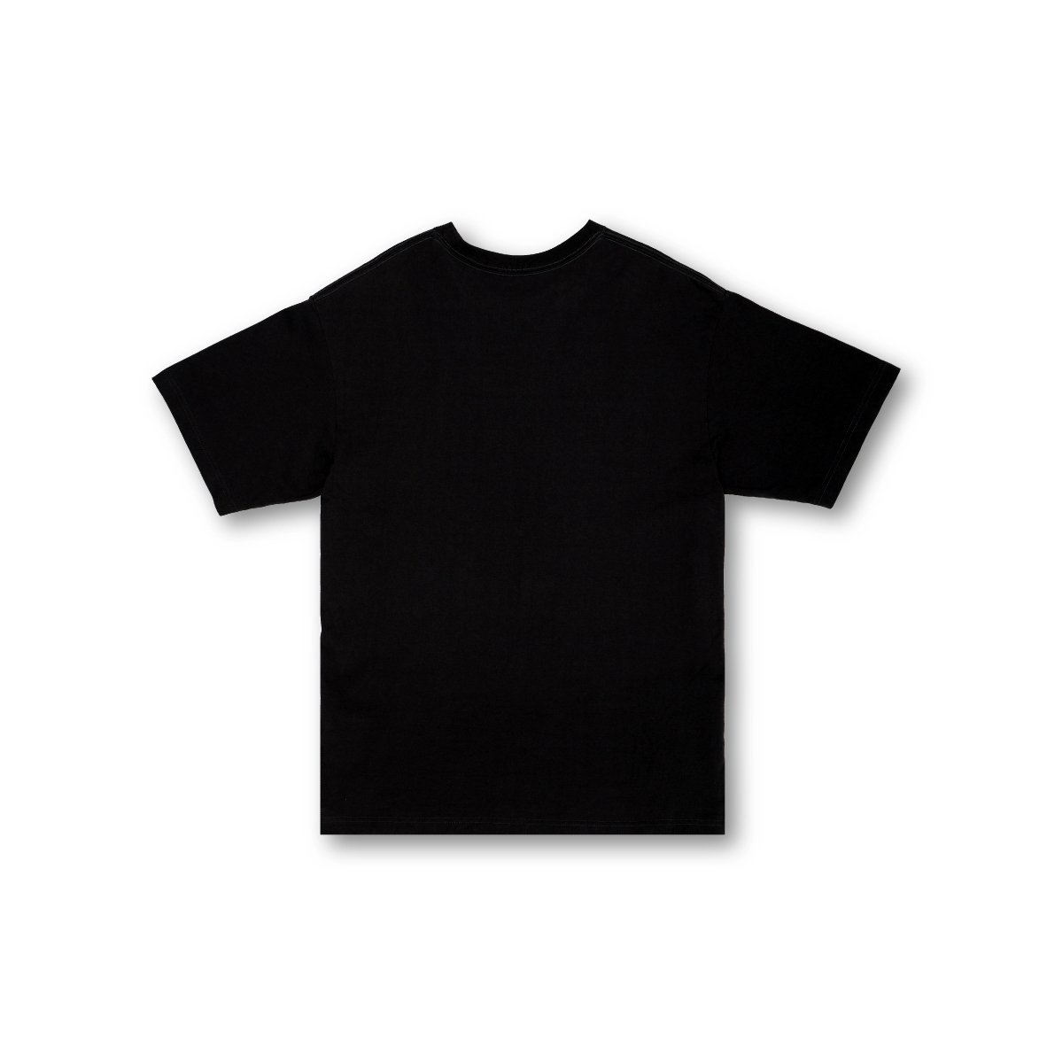 チャゲ&飛鳥旅立ちコンサートTシャツ SKATE PARK T-SHIRT / BLACK <L-25-162> | LUDITT