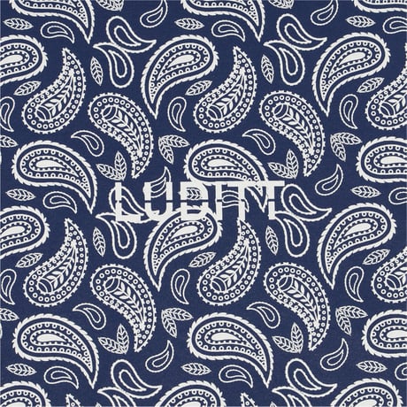 Paisley Long Sleeve T-Shirt / Navy <L-2374>