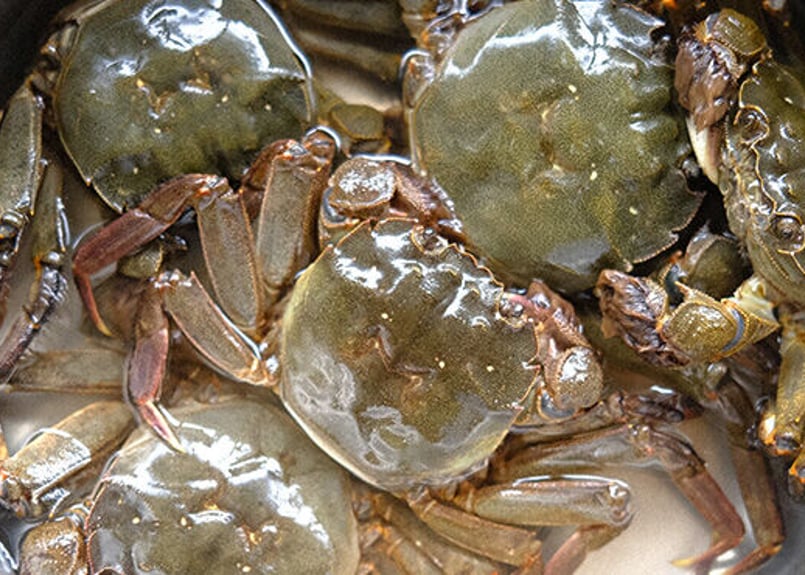 獲れたて即売 熊本の天然モクズガニ | 高齢者サロンガーネ