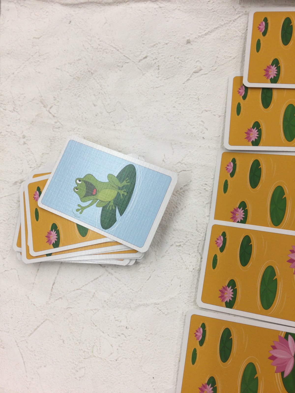 カエルのおそうじ フロッガーズ | 絵本と木のおもちゃの店ぴっぴ