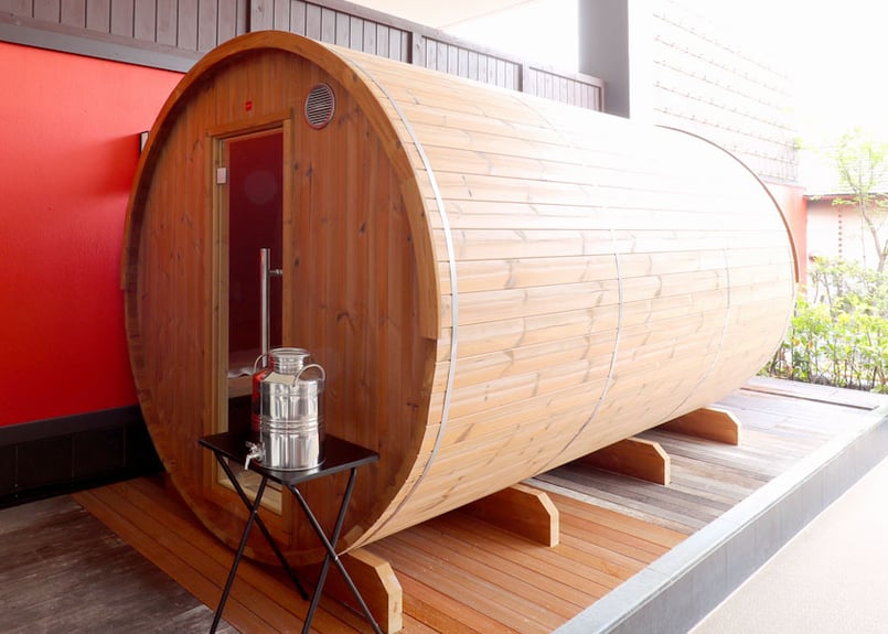 電解還元温泉器　ホームスパ 土日祝限定】草津湯元水春 レンタルタオルセット付ご入浴チケット