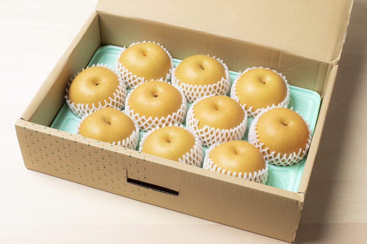 果汁たっぷりな晩生品種 日本梨【王秋】3㎏箱 | 佐藤梨園