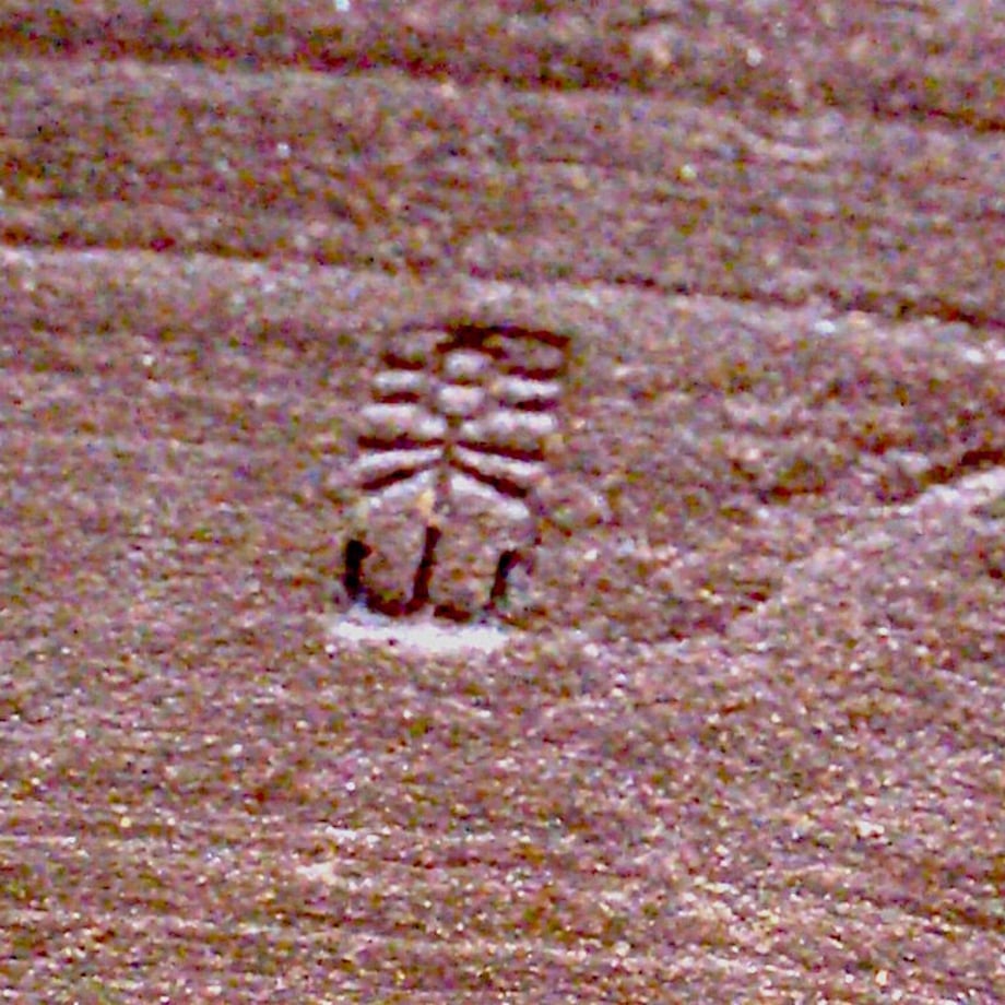 60583f079dbfee67911e6339