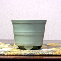 竹細工 建仁寺派 第七代管長 竹田益州老師 自作 茶杓 銘：福寿草 無傷