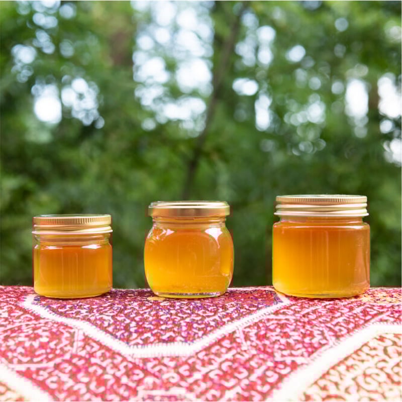 非加熱 日本みつばちの蜂蜜 | 伊豆 山のめぐみONLINE SHOP