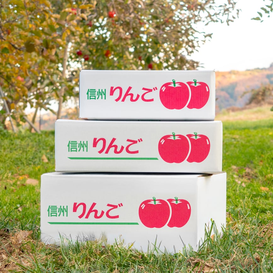 ◎11月下旬発送【自家用】サンふじ 5kg（19個前後） | りんご農家のお