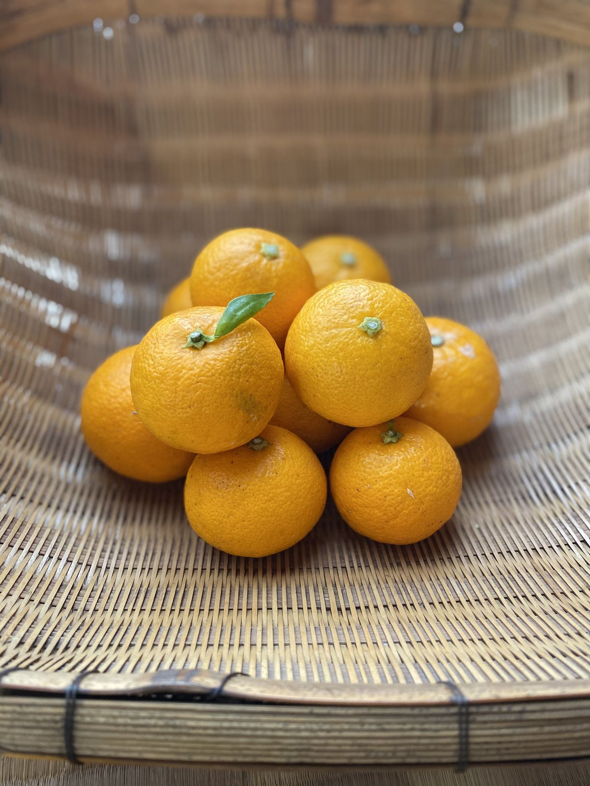 季節限定＞上勝町幻の柑橘果実「木完熟ゆこう」 1回のご購入は2KG