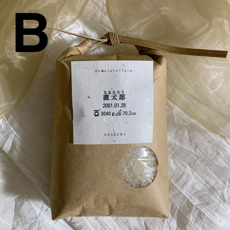・３合（450ｇ）×３ 【ラベルは選べます。】