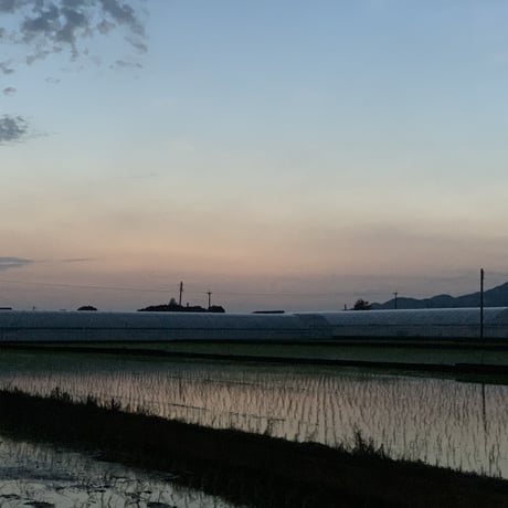 ご挨拶ラベル / お名前記載選択可能（3合） クラフト