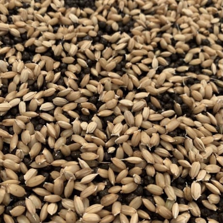 一升米・150g(1合)×10袋セット（A/B/C/D/E/F/G/Hラベル）