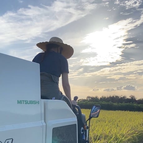 一升米・500ｇ×3袋セット（A/B/C/D/E/F/G/Hラベル）