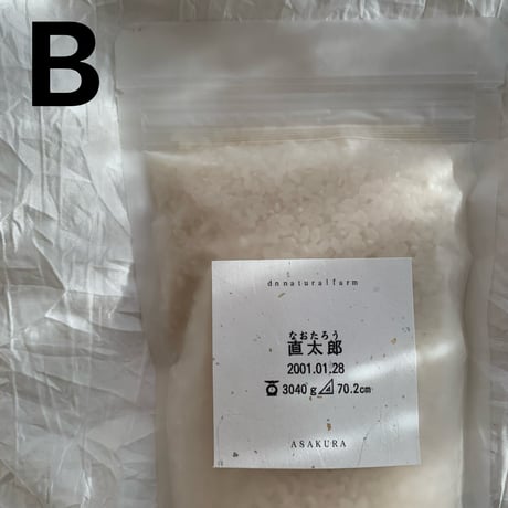 ・1合 (150g)×10　A－Qラベル