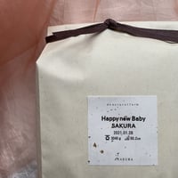 体重米・I （お名前・生年月日・体重・身長記載）