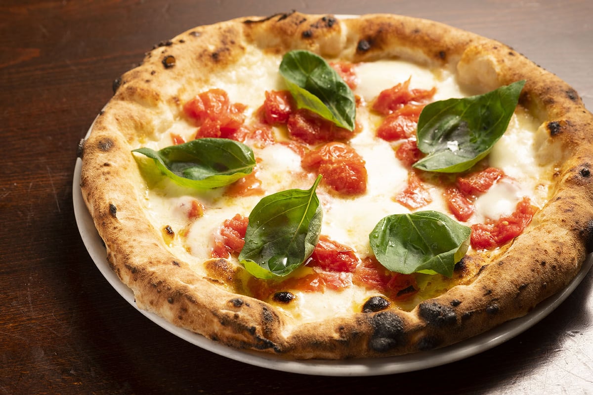 2006年受賞 MARGHERITA STG マルゲリータSTG | FILIPPO FIELD