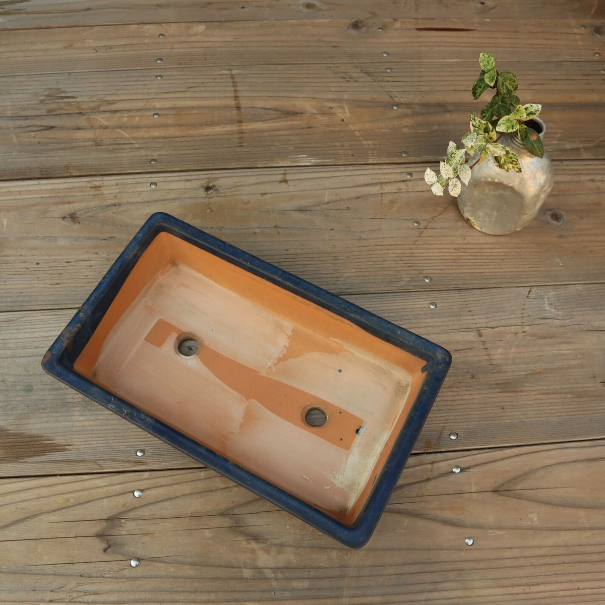 A005 角型青釉盆栽鉢/和鉢 銘有 | 庭の古道具 misora