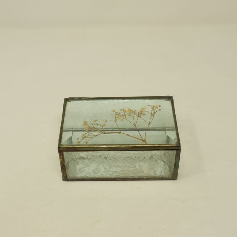 押し花アート 魚 化石 木製箱入り 押し花アート 魚 化石 木製箱入り 押し花アート 魚 化石 木製