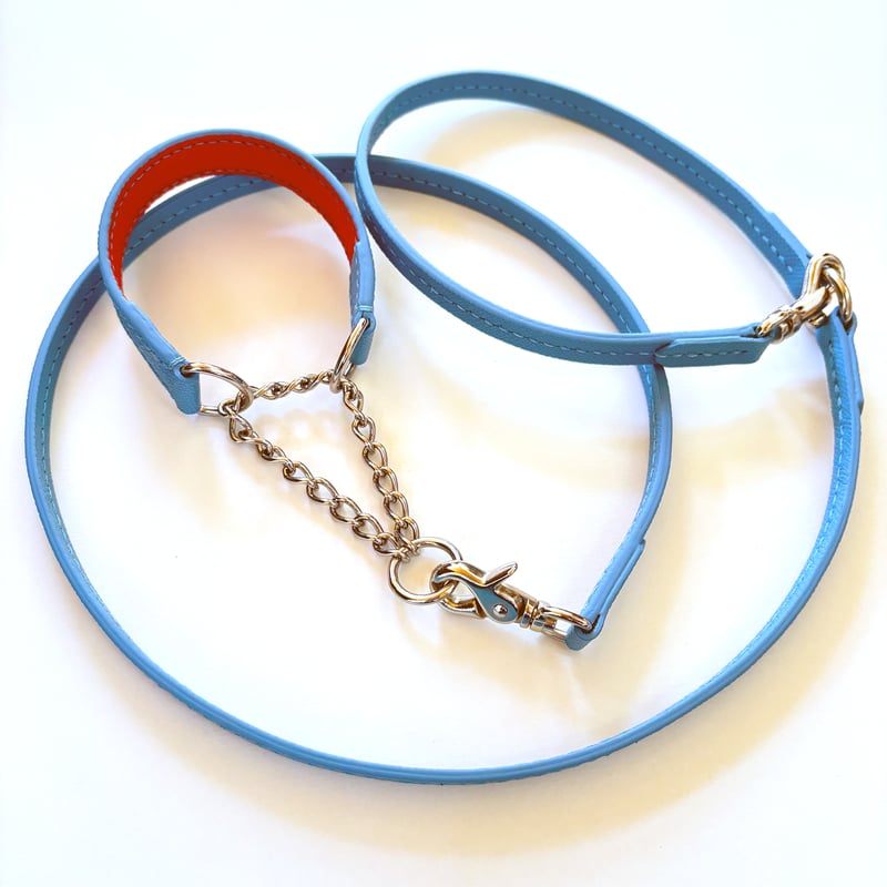 フランス製レザー・ハーフチョークカラー＆リード【オーダー制作