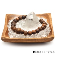 浄化セット　サイズ 小