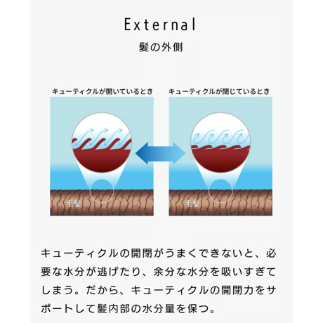 トイトイトーイ トリートメント しっとり［1000g］詰替え用