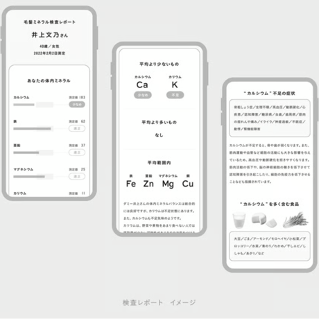 ミネラル検査キット