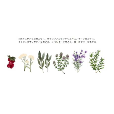 【9月下旬入荷予定】ルビアンロイヤル シャンプー＆トリートメント セット［各400ml］