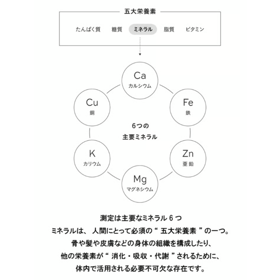 6895642f3cc7cf48da883701