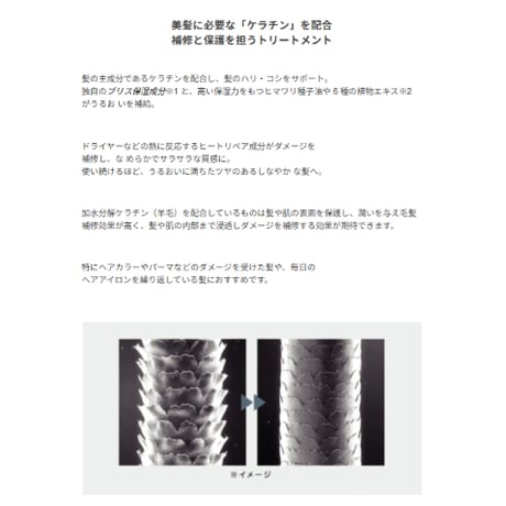 ルビアンロイヤル トリートメント［400ml］