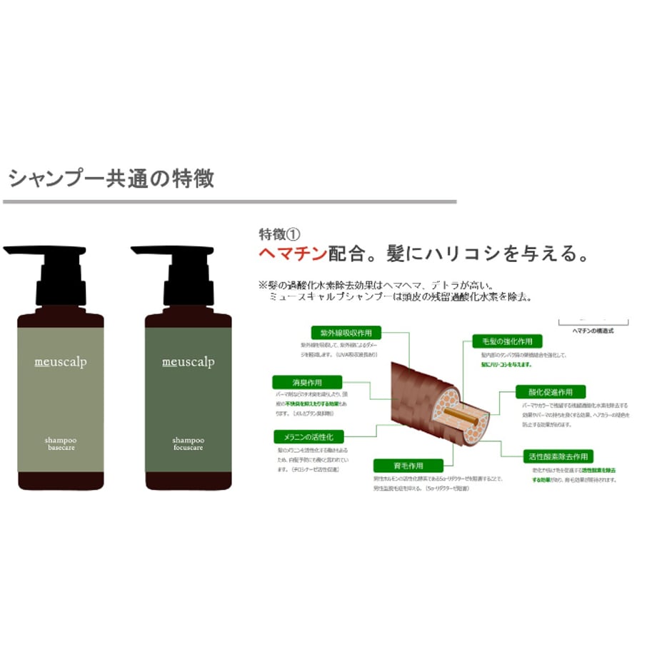 67ff115c8577a95f48ad8281