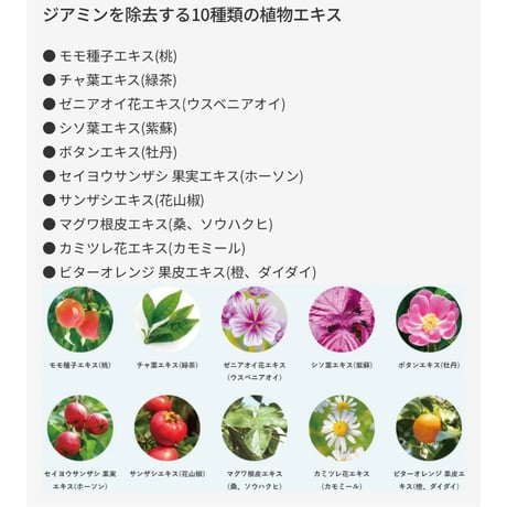 フィトジアネーゼ［30ml］