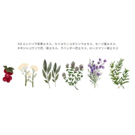 【9月下旬入荷予定】ルビアンロイヤル シャンプー［400ml］