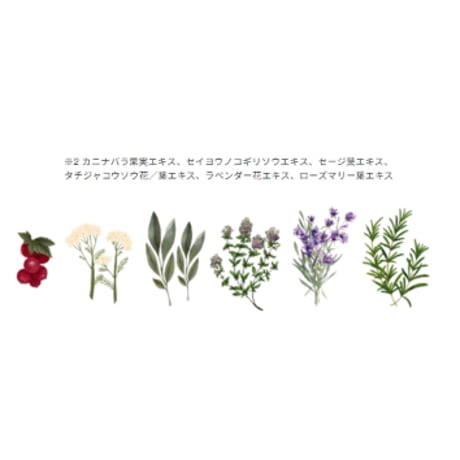 ルビアンロイヤル トリートメント［400ml］