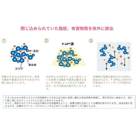 P-UP ボディフィーリング バスソルト［1000g］