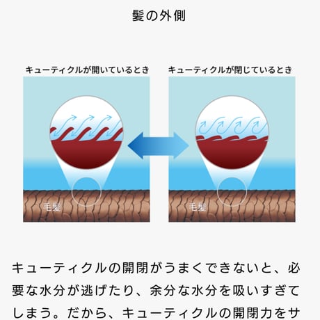 トイトイトーイ シャンプー&トリートメント しっとり セット［各400ml］