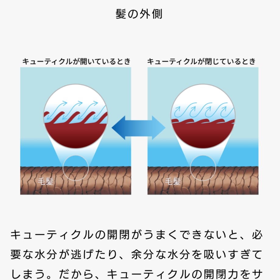 6939dfad3d43e46cbecf7913