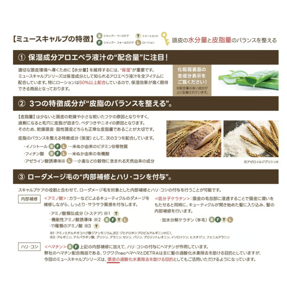 ミュースキャルプ シャンプー フォーカスケア［280ml］ | CHELIN 公式