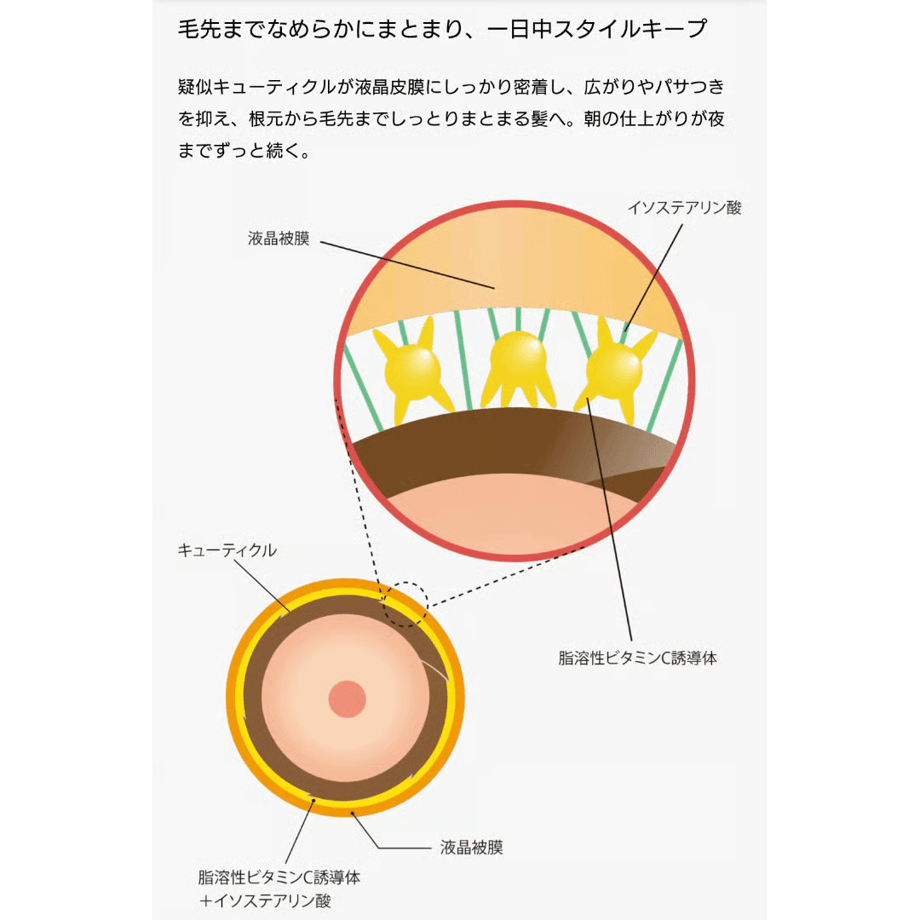 68d5fc45888a2e64b9f893f8