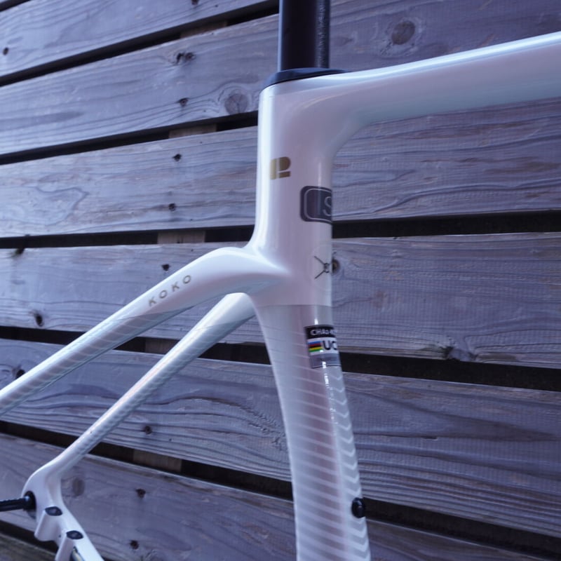 Chapter2 - KOKO [WHITE + GREY (TAURIPARIPA)]