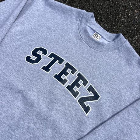 STEEZ COLLEGE LOGO CREWNECK
