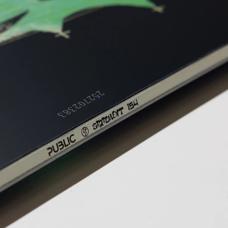 PUBLIC  STATEMENT - 154