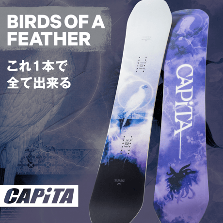 CAPITA  BIRDS OF A FEATHER
