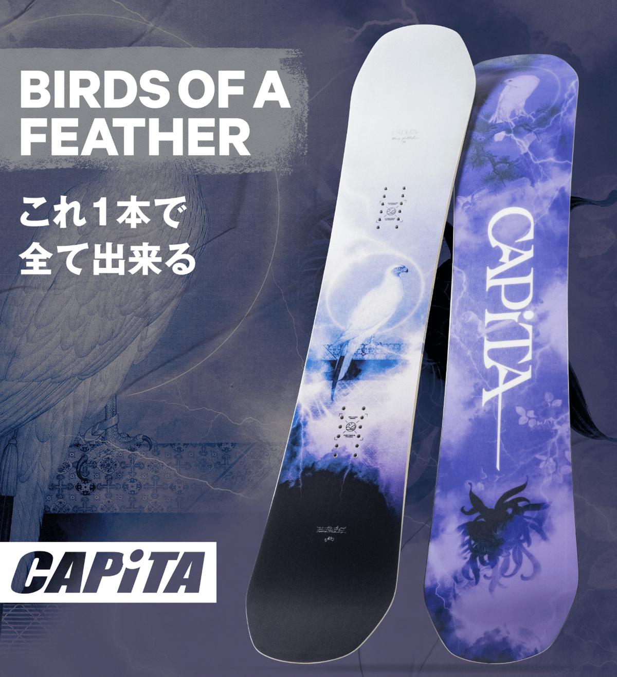 スノーボード CAPITA birds of a feather 142 スノーボード CAPITA birds of a feather 142