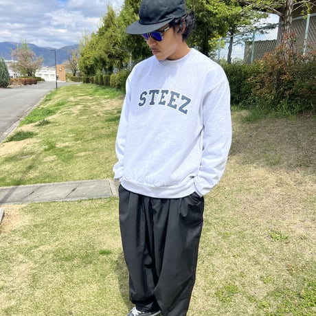 STEEZ COLLEGE LOGO CREWNECK
